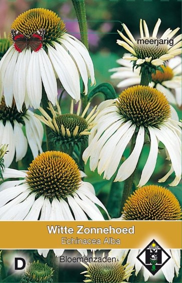 Coneflower white (Echinacea purpurea) 150 seeds